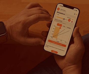 Simulación de inversión en Bitcoin - Slide 3
